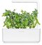 Click & Grow Smart Garden refill Dwarf Pea 3pcs