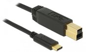 Delock Cable USB-C(M)-USB-B(M) 3.1 GEN 2