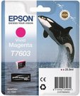 Epson T7603 Ink, Vivid Magenta