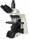 Mikroskopas Nexcope NE910