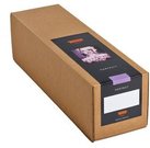 Tecco Inkjet Paper Premium Silk Raster PSR290 32,9 cm x 25 m